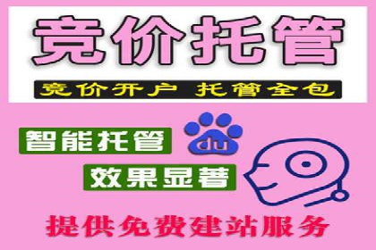 百度推广效果评估与持续优化案例